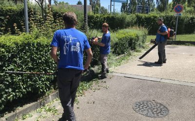 Formation à la taille des haies