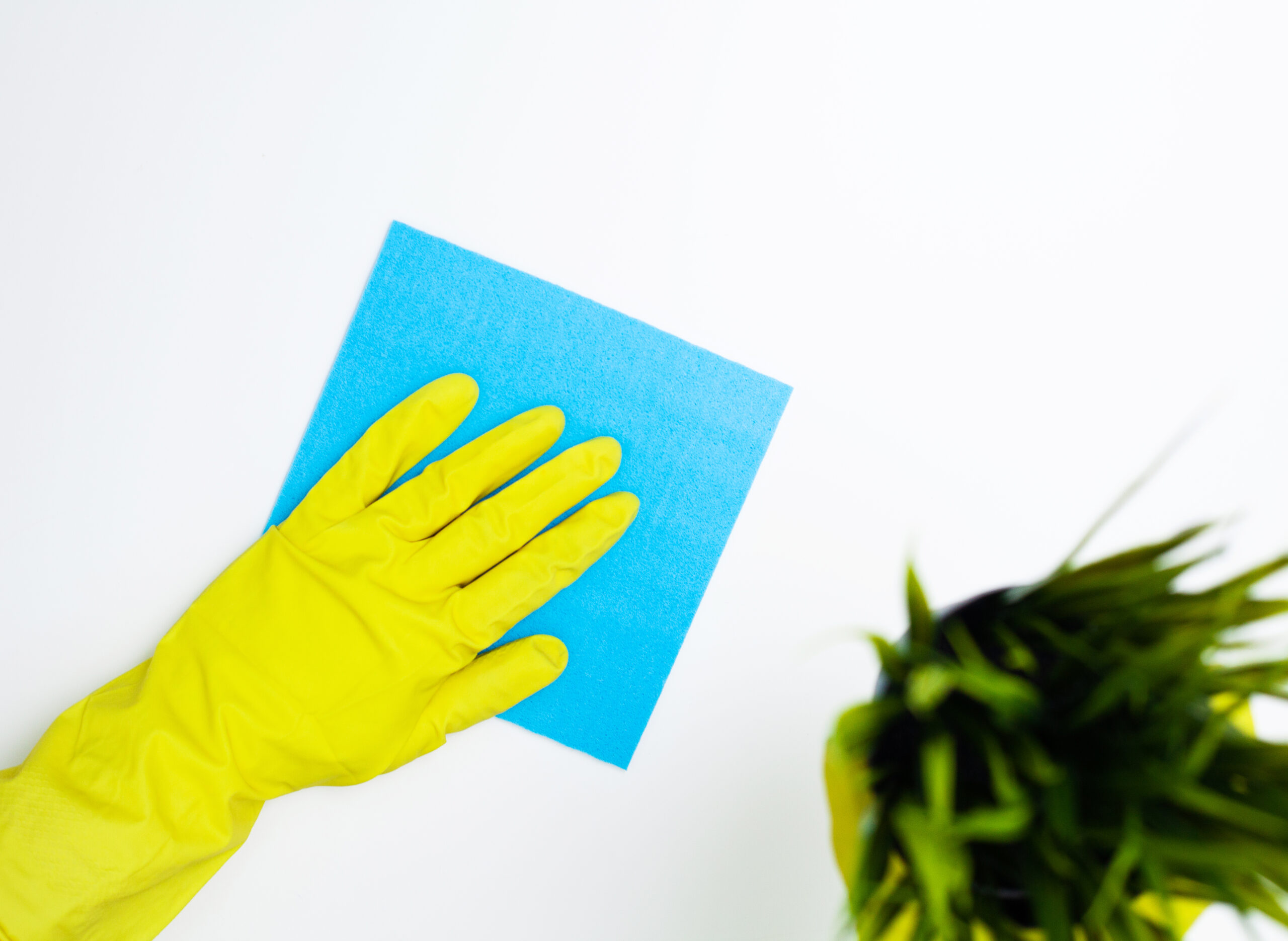 écogestes en propreté écogestes en propreté